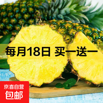 京东 每月18号买一送一活动合集的图片 第20张