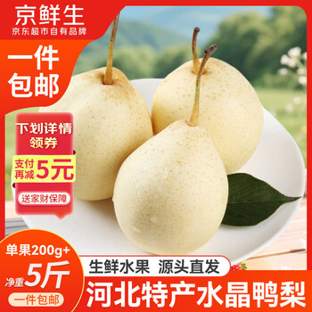 京鲜生 河北特产水晶鸭梨 净重5斤