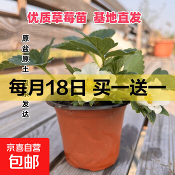 京东 每月18号买一送一活动合集的图片 第18张