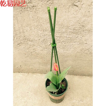 落红乾易园艺番茄盆栽固定藤蔓爬藤架花盆支架架花支柱 三角支柱花棚长0 9米直径7mm 图片价格品牌报价 京东