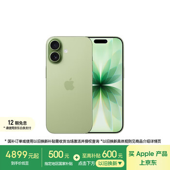 Apple/苹果 iPhone 17 256GB 鼠尾草绿色 支持移动联通电信5G 双卡双待手机