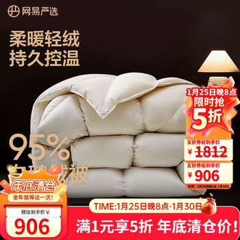 网易严选鹅绒被羽绒被子95%白鹅绒被芯 A类锁温静音四季被 450g 200*230cm