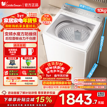 小天鹅（LittleSwan）10KG波轮洗衣机全自动 水魔方小乌梅超微净泡直驱变频 水魔方防缠绕 家电以旧换新 轻奢版VE20DW 高颜值+全域洁净 波轮 10kg