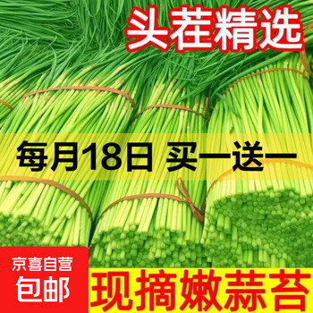 2026年3月18日更新【万能白菜价】的图片 第11张