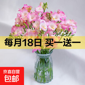 京东 每月18号买一送一活动合集的图片 第42张