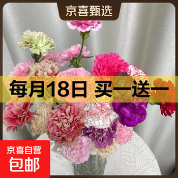 京东 每月18号买一送一活动合集的图片 第47张