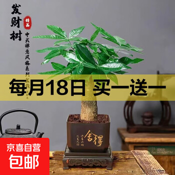 京东 每月18号买一送一活动合集的图片 第49张
