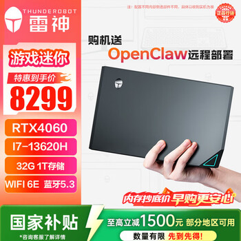 雷神（ThundeRobot）MIX 高性能游戏电竞迷你台式电脑mini主机(13代i7-13620H RTX4060 32G 1T )三角洲国补openclaw