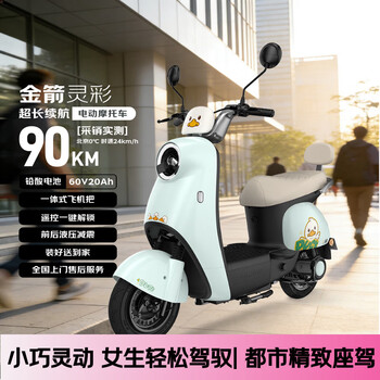 金箭电动摩托车 【人气爆款】灵彩60V20AH铅酸电池长续航800W大动力踏板电动轻便摩托车电动车积木蓝