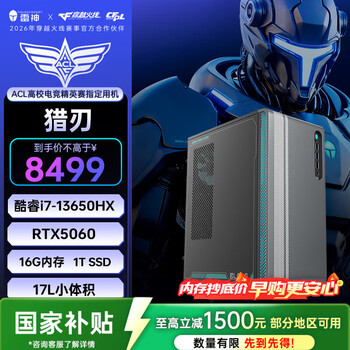 雷神（ThundeRobot）黑武士·猎刃 游戏设计办公商用17L台式电脑电竞主机(i7-13650HX 16GD5 RTX5060 1TSSD）