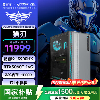 雷神（ThundeRobot）黑武士·猎刃设计师高性能游戏办公商用台式机电竞主机(i9-13900HX 32G RTX5060Ti-16G显存 1T)