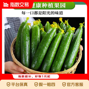 2026年4月20日更新【万能白菜价】的图片 第2张