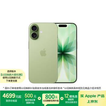 Apple/苹果 iPhone 17 256GB 鼠尾草绿色 支持移动联通电信5G 双卡双待手机