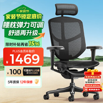 Ergonor保友金卓雄鹰 人体工学椅  高性价比电脑椅家用办公椅游戏电竞椅 【金卓雄鹰X】黑色网(尼龙椅脚) 久坐不易累
