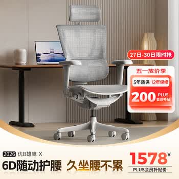 Ergonor保友优b雄鹰 电脑椅人体工学椅家用 电竞椅办公椅子靠背老板椅 【优b雄鹰X】银白网 精准承托 舒适久坐