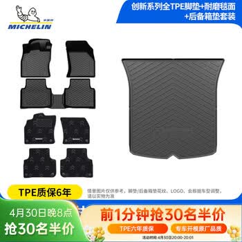 米其林（MICHELIN）TPE汽车脚垫特斯拉理想蔚来比亚迪奥迪大众宝马丰田吉利等专用垫