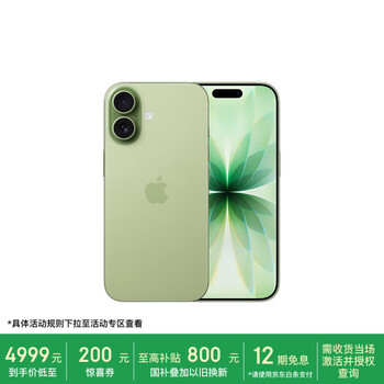 Apple/苹果 iPhone 17 256GB 鼠尾草绿色 支持移动联通电信5G 双卡双待手机【电信补贴】
