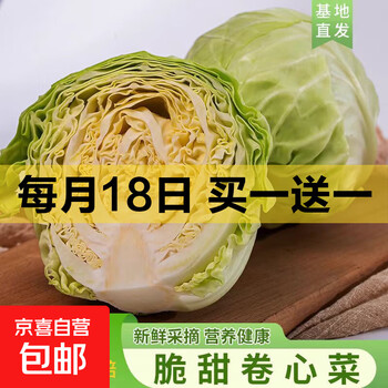 京东 每月18号买一送一活动合集的图片 第13张