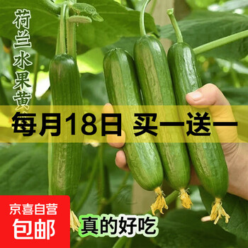 京东 每月18号买一送一活动合集的图片 第100张