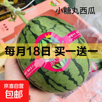 京东 每月18号买一送一活动合集的图片 第106张