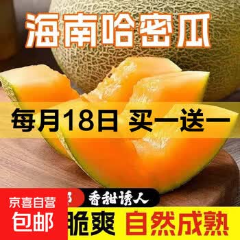 京东 每月18号买一送一活动合集的图片 第109张