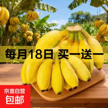 京东 每月18号买一送一活动合集的图片 第107张
