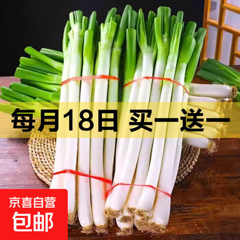 京东 每月18号买一送一活动合集的图片 第16张