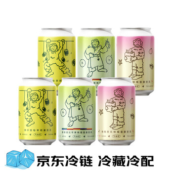纸飞机酿造果味康普茶佛手香柚茉莉*2+杨桃芭乐*2+苹果铁观音*2