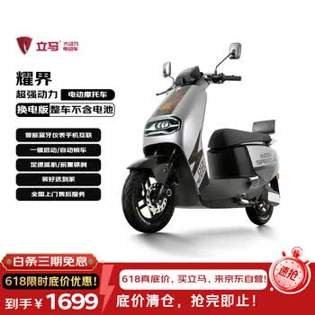 立马电动摩托车【需6.20前上牌】耀界仅车架无电池电池电瓶车长续航智能APP电动车 极地灰
