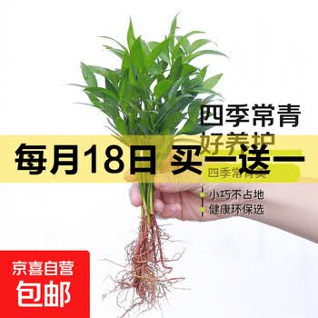 京东 每月18号买一送一活动合集的图片 第32张