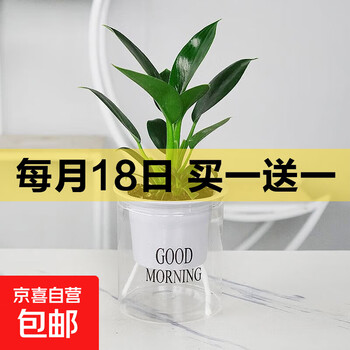 京东 每月18号买一送一活动合集的图片 第31张
