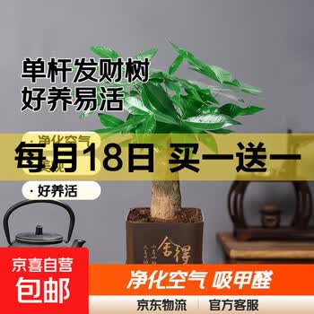 京东 每月18号买一送一活动合集的图片 第33张