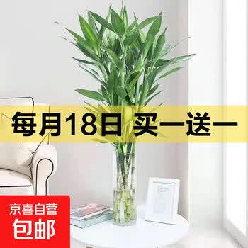 京东 每月18号买一送一活动合集