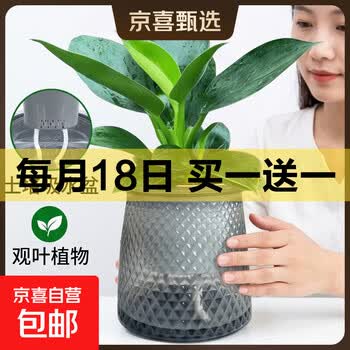 京东 每月18号买一送一活动合集的图片 第35张
