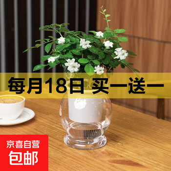 京东 每月18号买一送一活动合集的图片 第34张