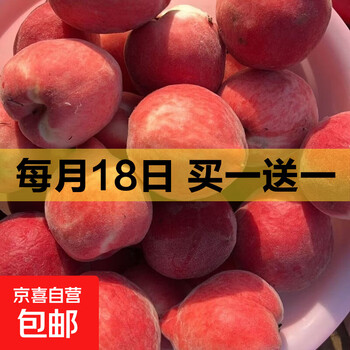 京东 每月18号买一送一活动合集