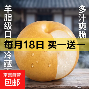 京东 每月18号买一送一活动合集的图片 第8张