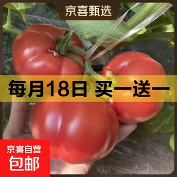 京东 每月18号买一送一活动合集的图片 第5张