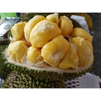 恋品惠 榴莲蜜新鲜尖蜜拉 榴莲蜜水果小菠萝蜜榴莲密大果2-3斤