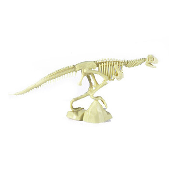 挖掘恐龙化石diy玩具 挖掘恐龙骨架化石 皮诺考古化石 白色 食肉牛龙