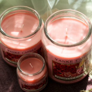 YANKE CANDLE洋客正品 新鲜玫瑰瓶装香氛蜡烛 无烟香薰蜡烛 浪漫礼物 玫瑰香味 小瓶