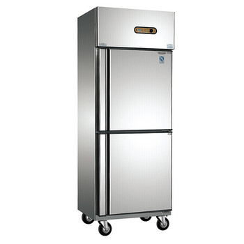 立式商用冰箱冷柜冷藏冷冻饭店厨房饭店保鲜冷藏柜双门四门六门户 双