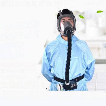 供气式防毒面具 电动送风式长管呼吸器 喷漆防尘除甲醛口罩