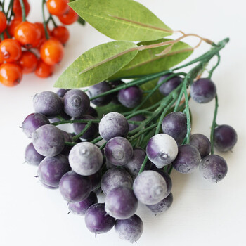 假蓝莓浆果支 塑料水果蔬菜 高仿假水果装饰 碟盘装饰摆设假花仿真花