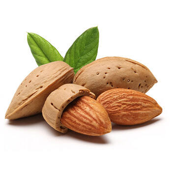 世外桃源 坚果炒货 巴旦干果 手剥果仁 巴旦木果仁