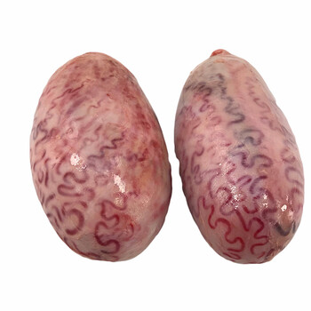 牛宝 新鲜生牛蛋 牛睾丸 散养现杀生牛蛋 牛下货 1.5kg