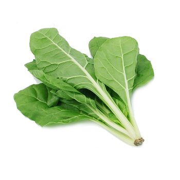 有机汇 有机根达菜 厚皮菜 薹菜 新鲜蔬菜 榨汁食疗食材 500g