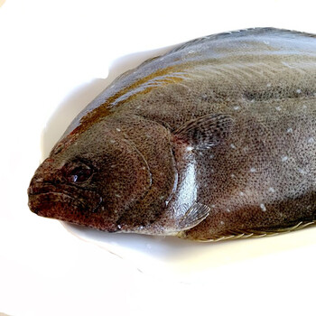 鸦片鱼 比目鱼 多宝鱼 平鱼 鲆鱼 鲽鱼 大牙片鱼 航空运输 约3kg