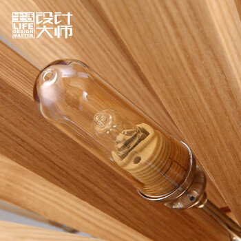 生活设计大师艺术创意灯具北欧个性餐厅客厅卧室简约实木吊灯雪绒花 直径55CM  LED  板栗色