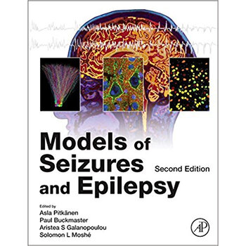 models of seizures and epilepsy